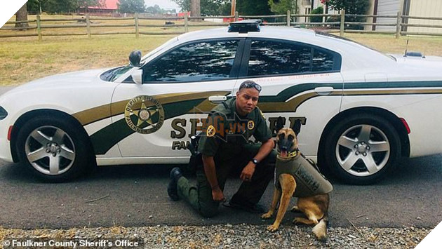 Bị lên án vì bắn chó của người dân, anh cảnh sát Mỹ thanh minh Tôi chỉ bắn thôi, viên đạn tự bay vào đầu nó đấy chứ - Ảnh 1.