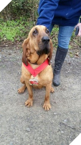 My: Cho vo tinh chay marathon 21km, gianh vi tri thu 7