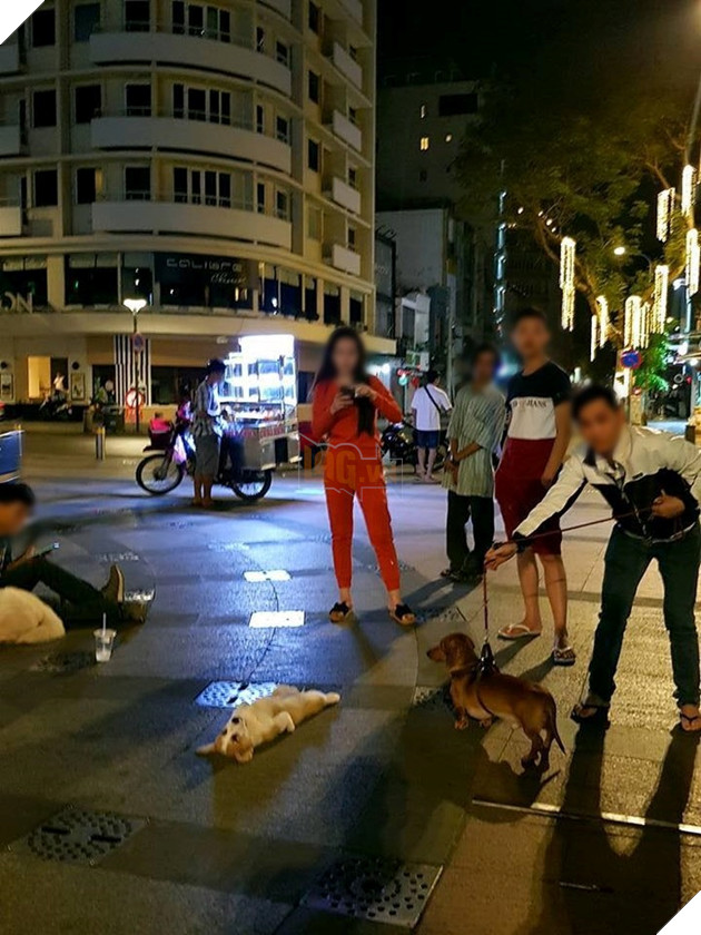 Mặc cho mọi người chụp ảnh, vây quanh ồn ào nhưng mình mệt thì mình ngủ thôi.
Mặc cho mọi người chụp ảnh, vây quanh ồn ào nhưng mình mệt thì mình ngủ thôi.