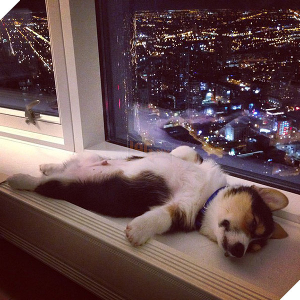 Sống trên đời thì phải biết hưởng thụ, dù có ngủ cũng phải chọn chỗ nào view đẹp nhất mới được.
Sống trên đời thì phải biết hưởng thụ, dù có ngủ cũng phải chọn chỗ nào view đẹp nhất mới được.