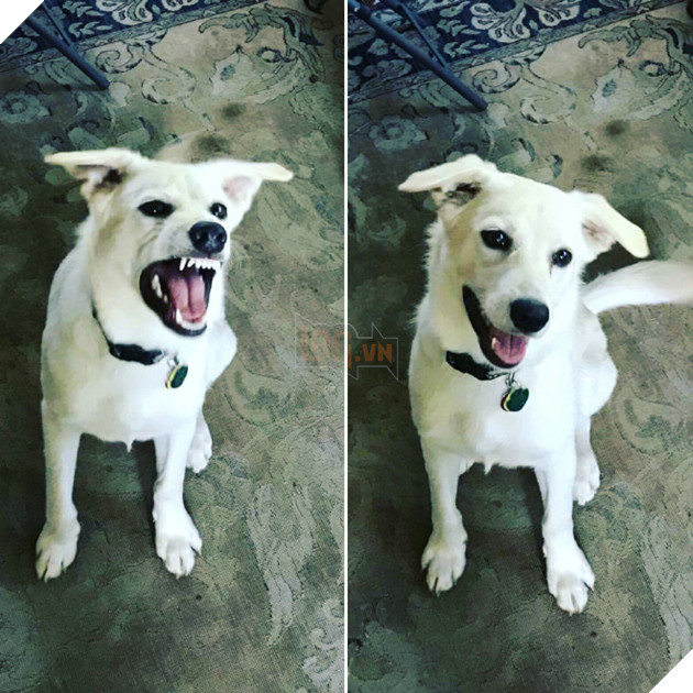 "Tuy có hơi cục tính nhưng thực ra con cũng ngoan lắm đó"
"Tuy có hơi cục tính nhưng thực ra con cũng ngoan lắm đó"