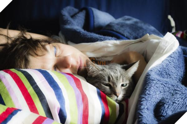 Lý do 'kì cục kẹo' khiến lũ mèo thích ngủ ké và tranh giường với chúng ta