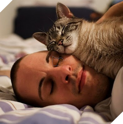 Lý do 'kì cục kẹo' khiến lũ mèo thích ngủ ké và tranh giường với chúng ta 2