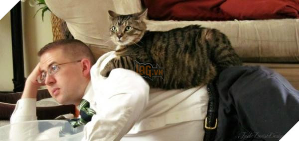 Lý do 'kì cục kẹo' khiến lũ mèo thích ngủ ké và tranh giường với chúng ta 8