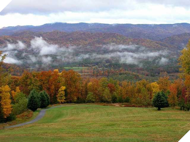 Góc cảm phục: Cha đẻ Fortnite mua nguyên một cánh rừng, ngăn nó khỏi nạn chặt phá - Ảnh 3.