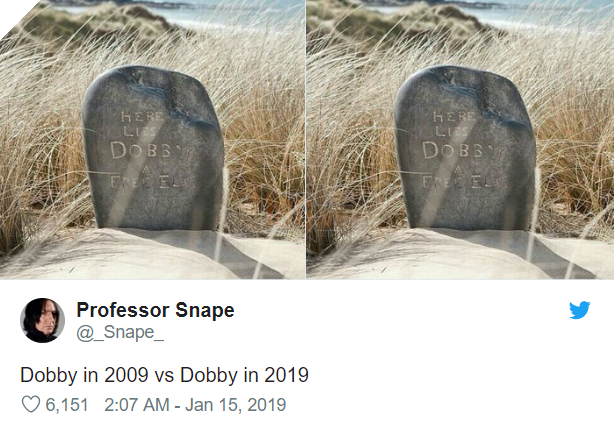 Chán ảnh đẹp lung linh, cư dân mạng bắt trend Thử thách 10 năm theo những cách lầy lội không tưởng - Ảnh 11.