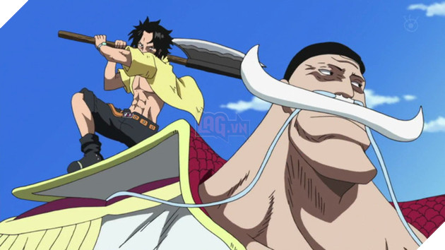 One Piece - Dao Hai tac: Vi sao Ace tu bo uoc mo tro thanh Vua Hai Tac de tro thanh dua con cua Rau Trang 2 One Piece - Đảo Hải tặc: Vì sao Ace từ bỏ ước mơ trở thành Vua Hải Tặc để trở thành đứa con của Râu Trắng 2