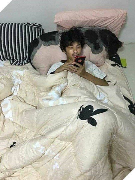 
“Chiếc gối” siêu bự và ấm áp.