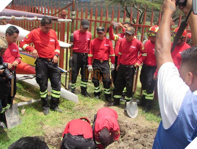 chú chó labrador cứu hộ dũng cảm