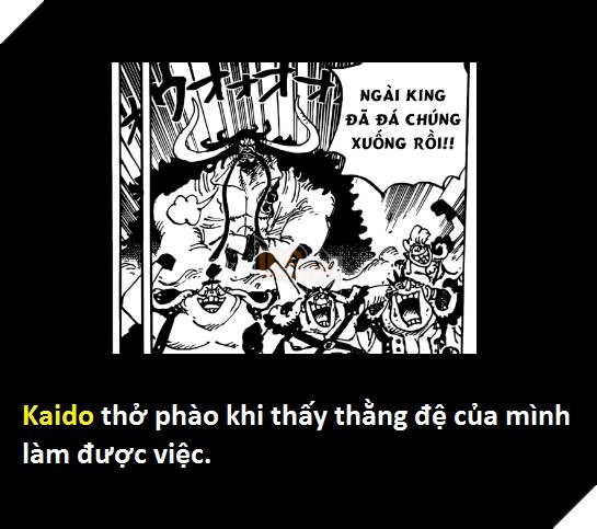 Tổng hợp hơn 20 chi tiết bí ẩn trong One Piece Vua Hải Tặc 930 mà bạn đọc bỏ qua 16