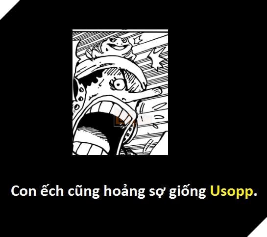 Tổng hợp hơn 20 chi tiết bí ẩn trong One Piece Vua Hải Tặc 930 mà bạn đọc bỏ qua 18