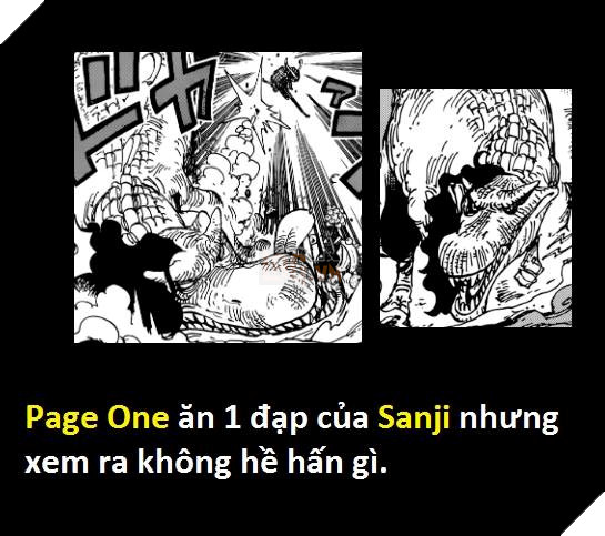 Tổng hợp hơn 20 chi tiết bí ẩn trong One Piece Vua Hải Tặc 930 mà bạn đọc bỏ qua 20
