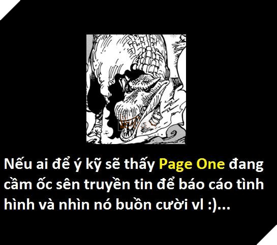 Tổng hợp hơn 20 chi tiết bí ẩn trong One Piece Vua Hải Tặc 930 mà bạn đọc bỏ qua 21