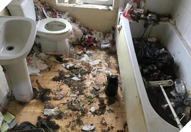 chú chó già mang khối u đợi chủ về