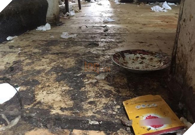 chú chó già mang khối u đợi chủ về