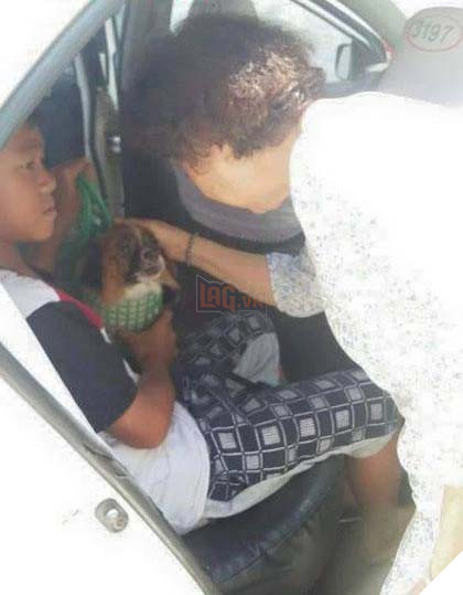 Chú chó chảy nước mắt chia tay người chủ sau 11 năm gắn bó tại TP. Hồ Chí Minh 2