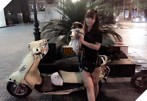 Chú chó chảy nước mắt chia tay người chủ sau 11 năm gắn bó tại TP. Hồ Chí Minh 5