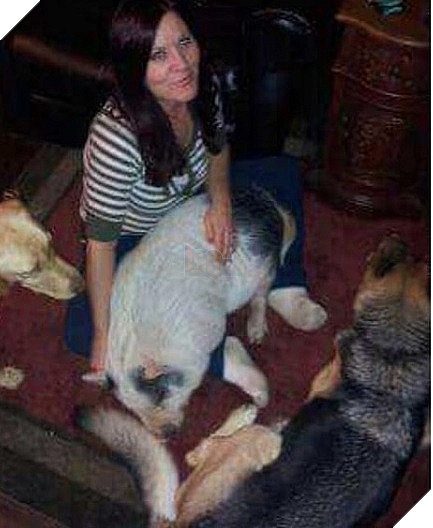 Chú lợn đáng yêu khi luôn nghĩ mình là.... chó