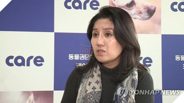 Tổ chức bảo vệ động vật hàng đầu Hàn Quốc bị tố giết hại hàng trăm con chó để kiếm thêm tiền quyên góp - Ảnh 2.