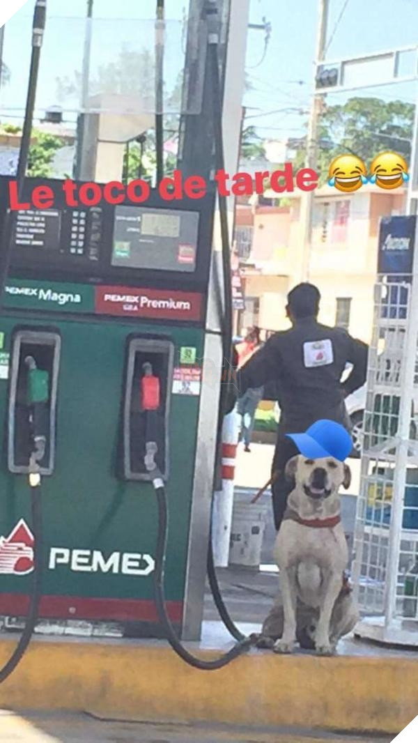 
... Nay là một thành viên đáng tự hào của trãm xăng.