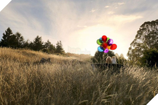 Chú chó Boo đáng yêu nhất thế giới qua đời - Ảnh 4.