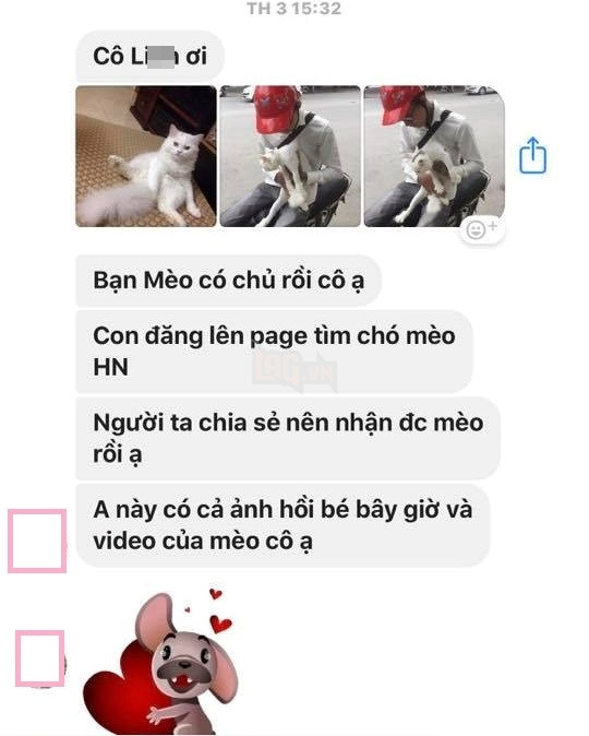 Dân mạng phẫn nộ với anh chàng “nhận vơ” mèo rồi đòi tiền chuộc 500 nghìn đồng