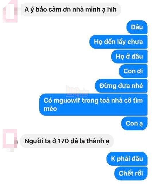 
Trực giác mách bảo L. người này không phải chủ nhân đích thực của chú mèo 