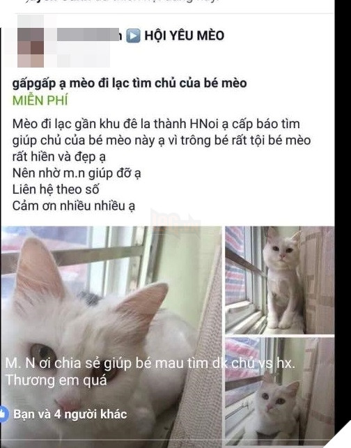 
... và nhờ cháu gái chia sẻ trên hội yêu mèo để tìm chủ nhân của nó.