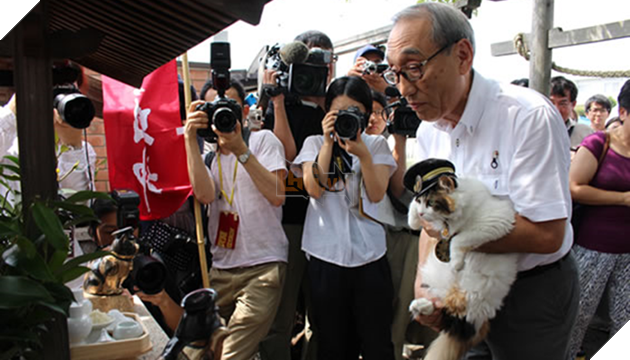 Ngạc nhiên chú mèo thắng bầu cử làm trưởng ga tàu ở Nhật 2