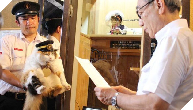 Ngạc nhiên chú mèo thắng bầu cử làm trưởng ga tàu ở Nhật 3