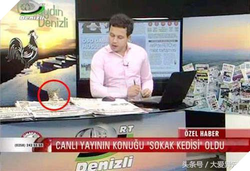 Hoàng thượng đại náo đài truyền hình chán chê rồi lăn ra ngủ