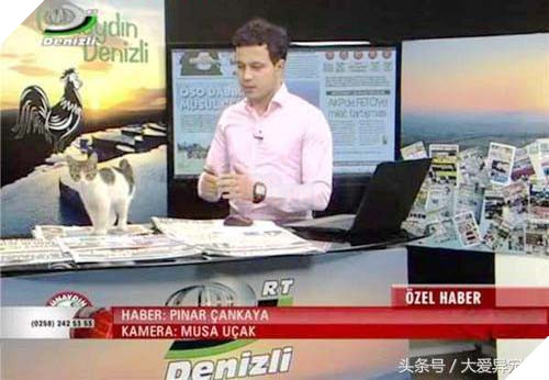 Hoàng thượng đại náo đài truyền hình chán chê rồi lăn ra ngủ 3