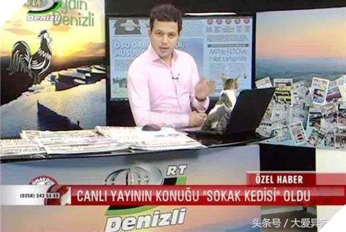 Hoàng thượng đại náo đài truyền hình chán chê rồi lăn ra ngủ 5