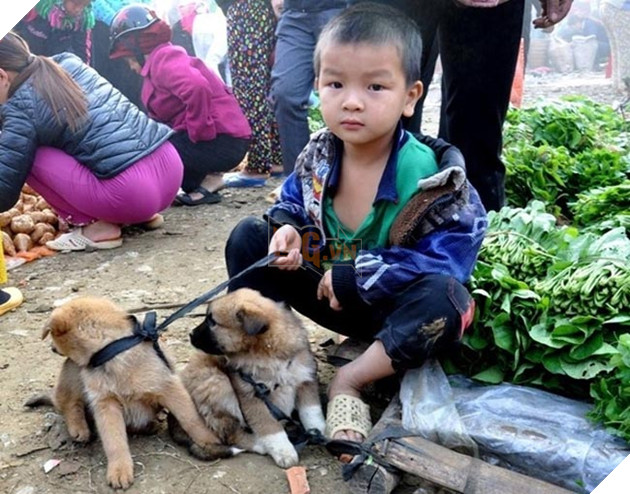 Chạnh lòng cảnh cậu bé vùng cao miễn cưỡng ôm chó cưng đi bán