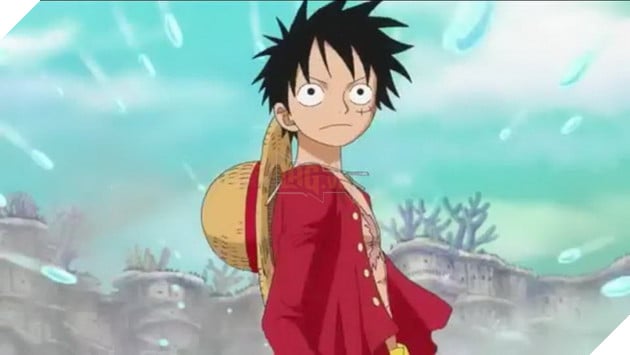 Observation Haki - Haki Quan Sát của Luffy