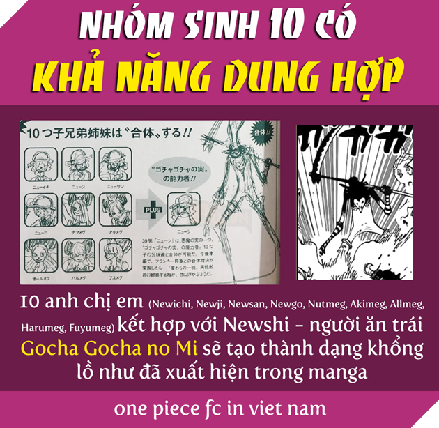 One Piece - Vua Hải Tặc - Tổng hợp 46 người con trai của Tứ Hoàng Big Mom 10