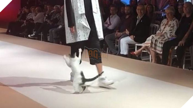 Người mẫu bị ‘tấn công’ trên sàn catwalk ở Thổ Nhĩ Kỳ nhưng không ai nỡ đuổi thủ phạm 2