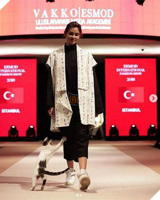 Người mẫu bị ‘tấn công’ trên sàn catwalk ở Thổ Nhĩ Kỳ nhưng không ai nỡ đuổi thủ phạm