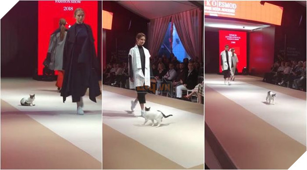 Người mẫu bị ‘tấn công’ trên sàn catwalk ở Thổ Nhĩ Kỳ nhưng không ai nỡ đuổi thủ phạm 3