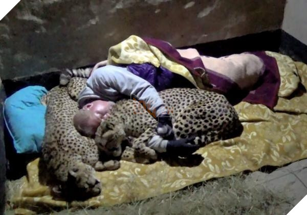 
Chỉ có mỗi Volker mới dám sử dụng những "chiếc gối ôm" da báo lông này.