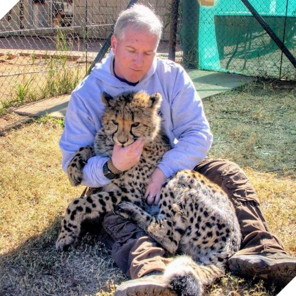 
Volker rất yêu thương các động vật hoang dã. Ông thường xuyên tới gần, vuốt ve báo săn - sát thủ hoang dã - như một người bạn hiền.