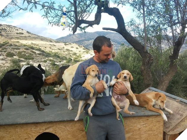 Save da “Boss”: Takis người đã đánh đổi sự giàu có để chăm sóc cho hơn 500 chú chó bị bỏ rơi