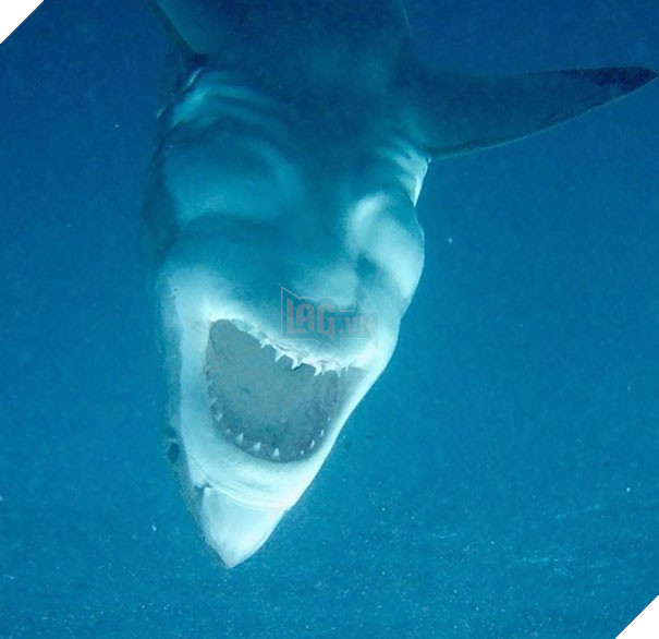 20 lần con người trải qua ảo giác Pareidolia ở những nơi không ngờ tới - Ảnh 5.