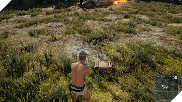 Bị bắn chết khi đang loot đồ là sai lầm phổ biến trong PUBG. Nguồn: Internet.