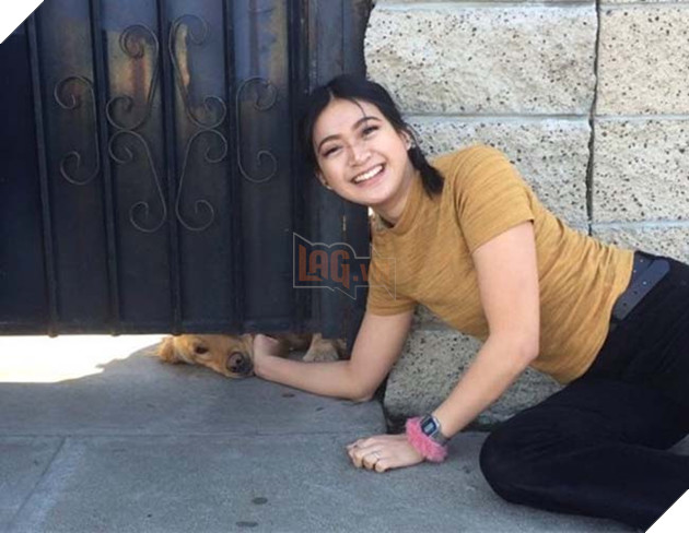 chú chó golden chờ bạn thân hàng ngày