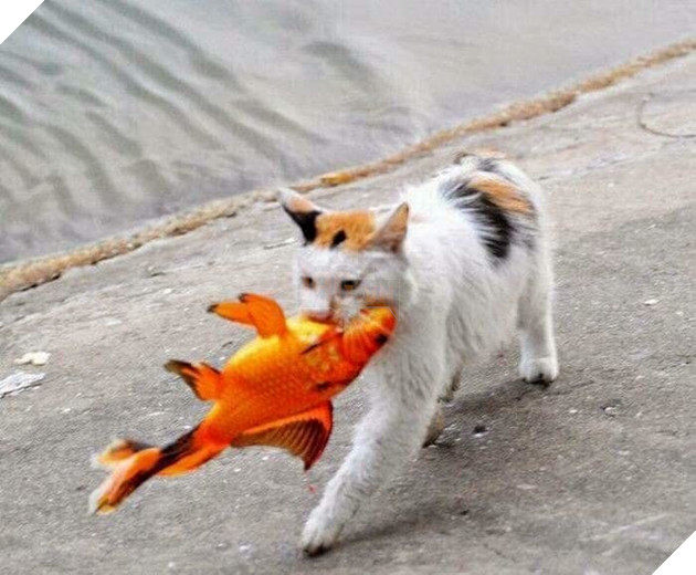 
Tóm gọn trong tích tắc, thế là ông Táo phải chịu cảnh đi bộ về trời rồi.