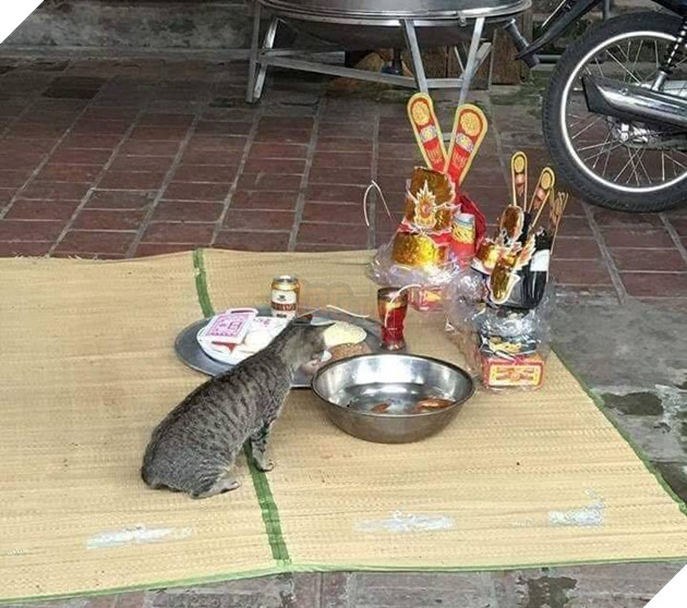 
Cúng ông Táo cũng không yên thân với "Hoàng thượng".