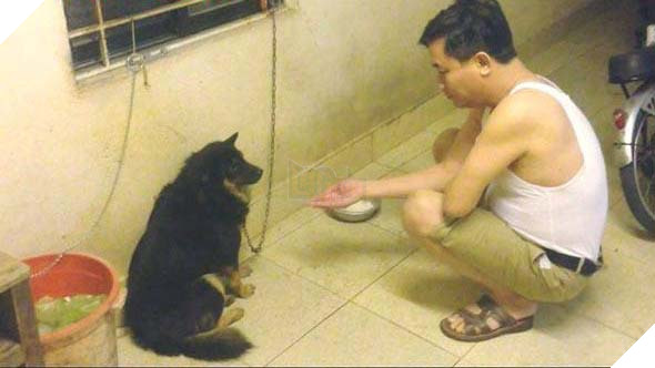 Chết cười với các bố khi đã say là cần ngay chuyên gia tâm lý thú cưng