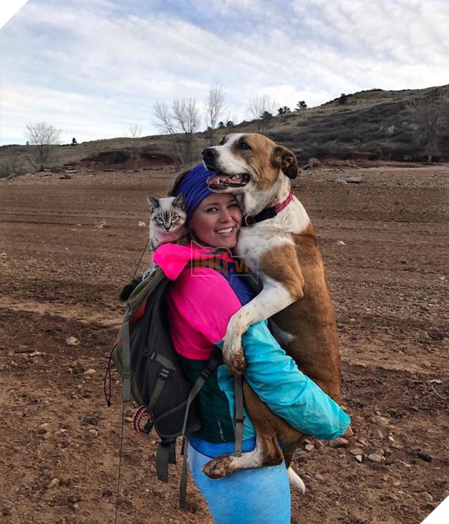 Bộ ảnh cặp đôi phượt thủ chó mèo đưa nhau đi khắp thế gian 3
