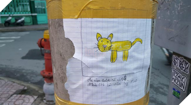 bức hình vẽ để tìm mèo đi lạc